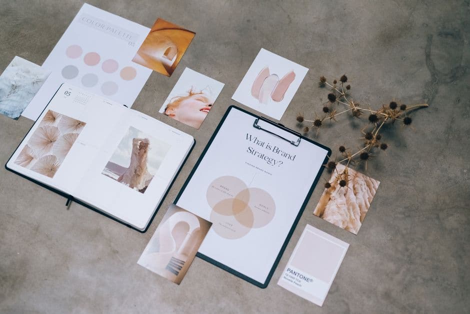 Moodboard de identidade e posicionamento de marca em processo de definição